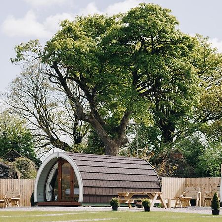North Coast 9 Glamping Ξενοδοχείο Capecastle Εξωτερικό φωτογραφία